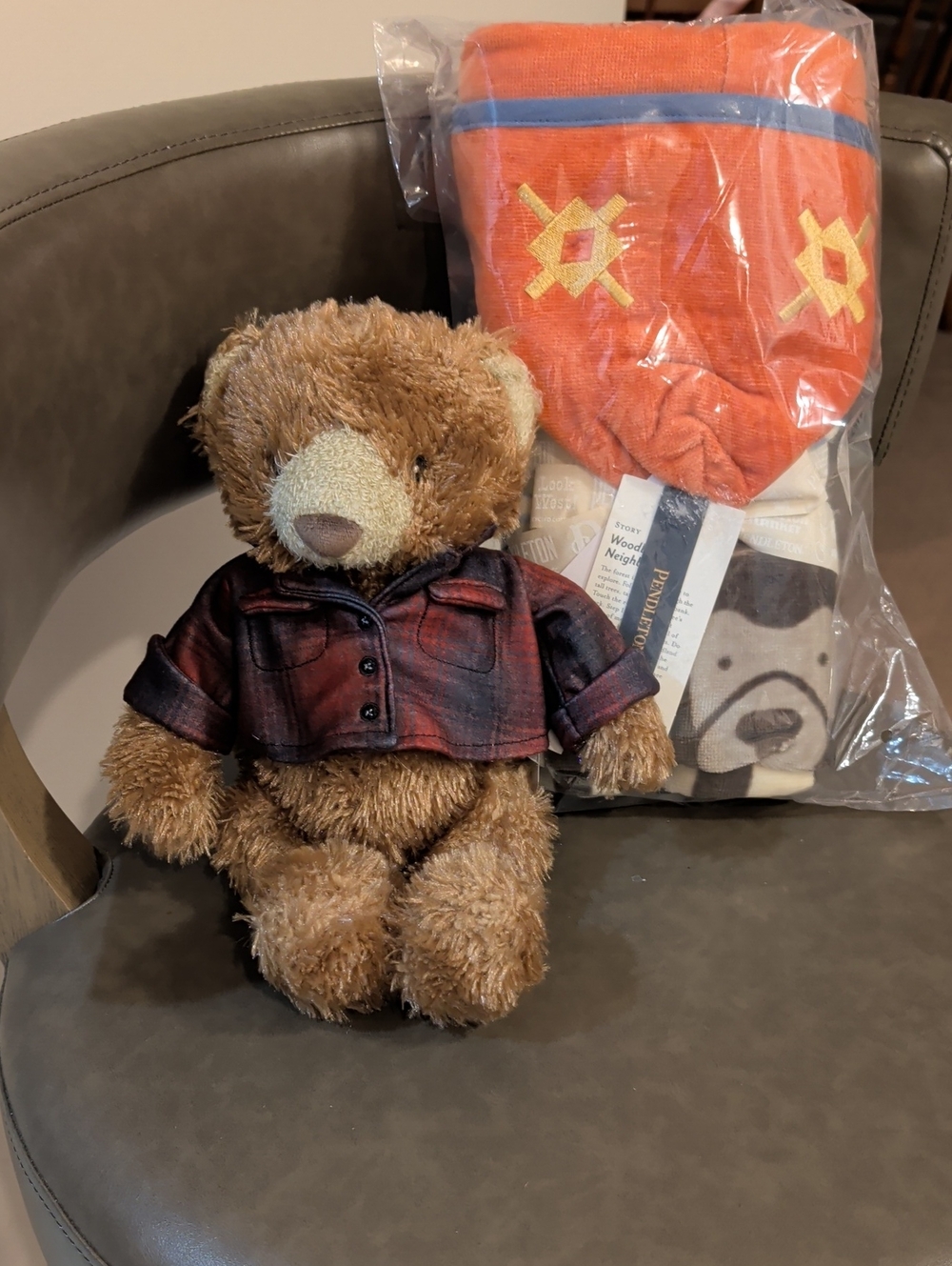 Pendleton Woodland Neighbors Hooded Towel & Pendleton Centennial Bear NWT
